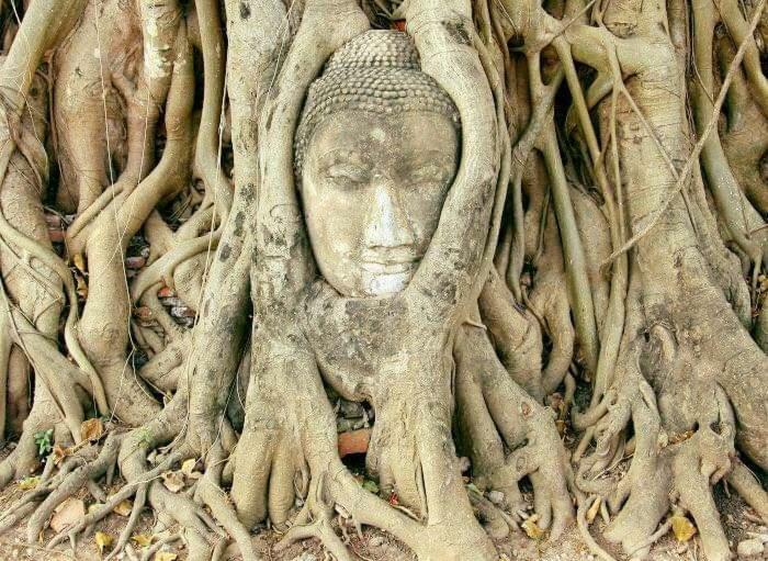 Chanida Home Phra Nakhon Si Ayutthaya Zewnętrze zdjęcie